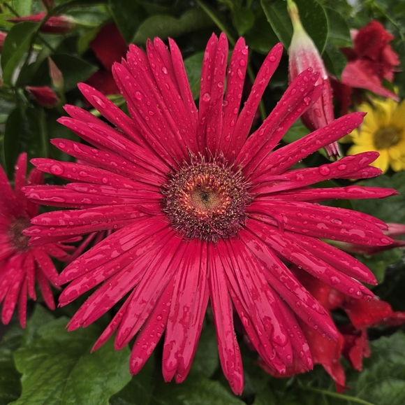 Hi! I'm Chantelle! Welcome to Lady Lily’s Boutique - Picture 16 of 16